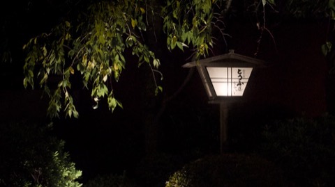 夜の庭にともる灯籠のあかり